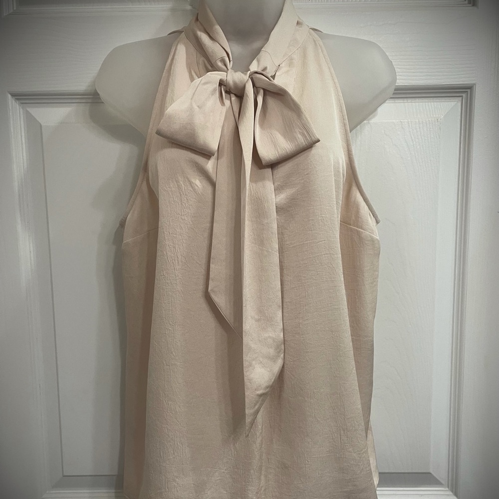 Express sleeveless blouse. Size L.